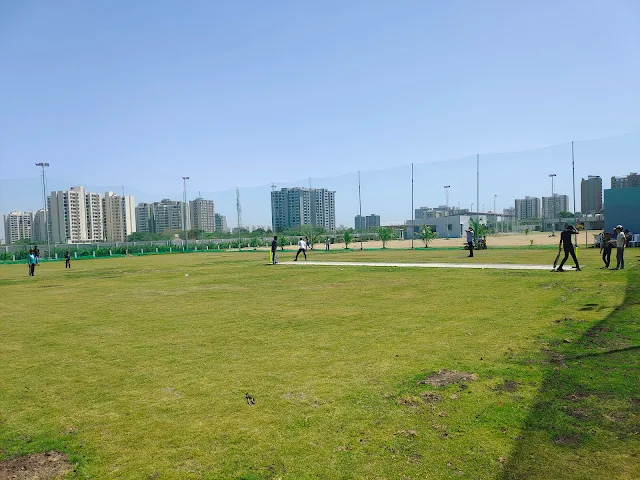 Turf photo 3