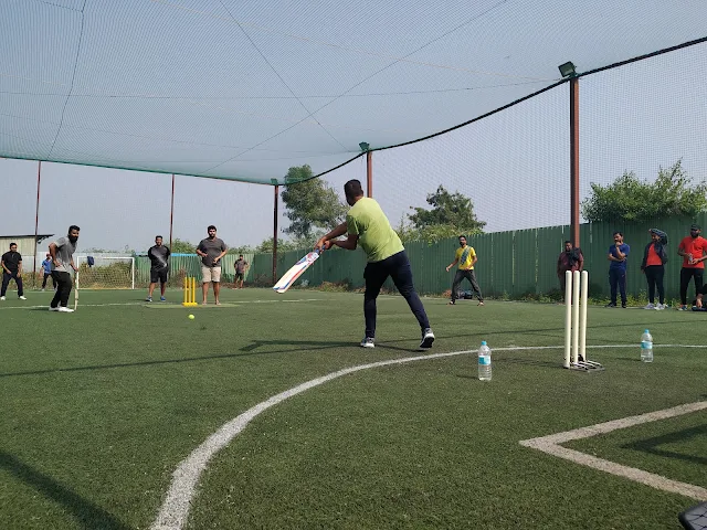 Turf photo 3