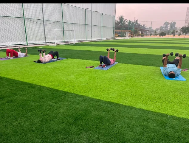 Turf main photo