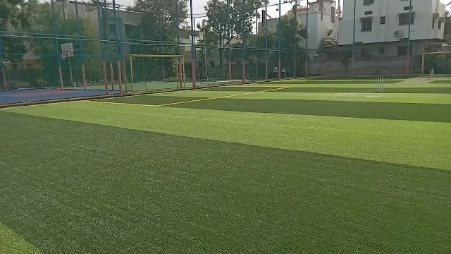 Turf photo 7