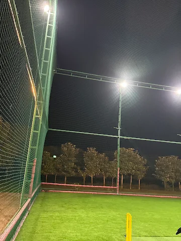 Turf photo 2