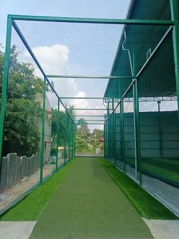 Turf photo 2