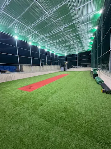 Turf photo 3