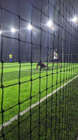 Turf photo 5