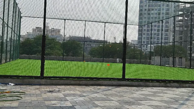 Turf main photo