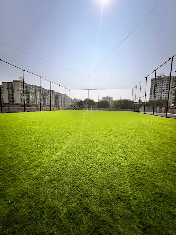 Turf photo 2