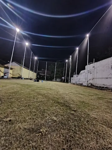 Turf photo 2