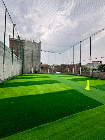 Turf photo 3