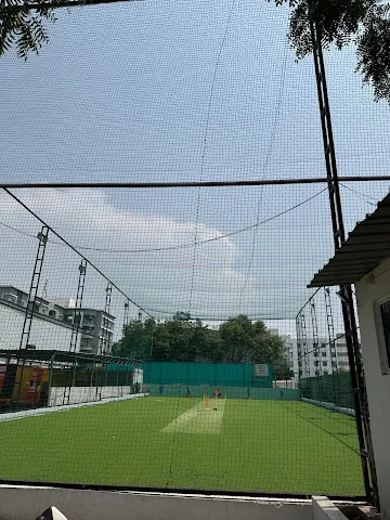 Turf photo 6