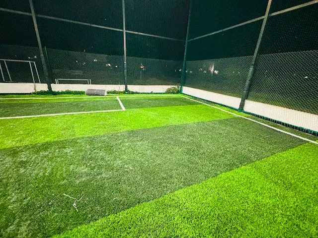 Astro Turf Dabha