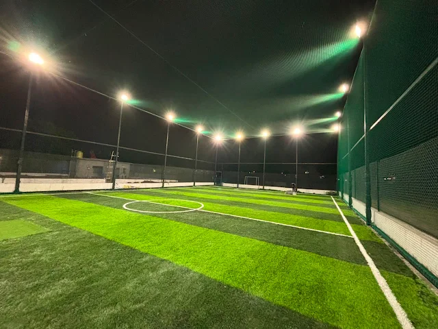 Turf photo 3