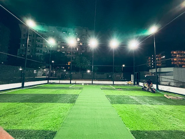Turf photo 4
