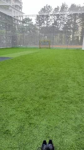 Turf photo 5