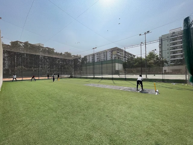 Turf photo 4