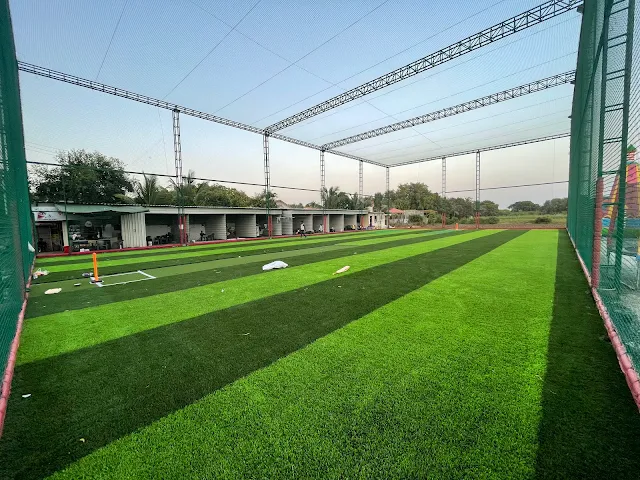 Turf photo 2