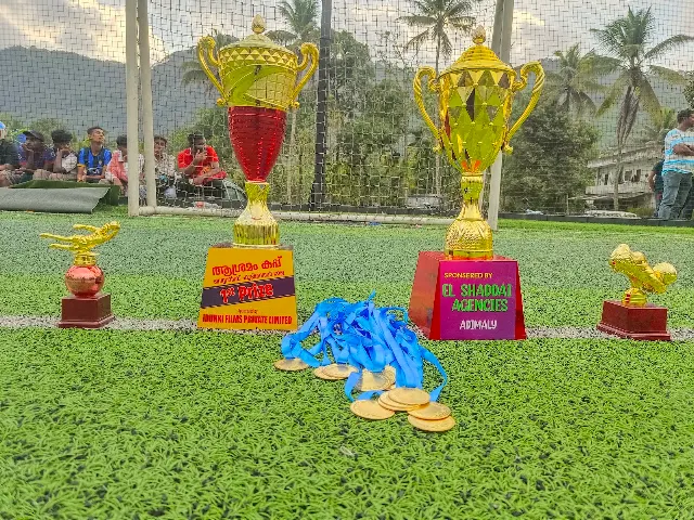Eleven Football Turf