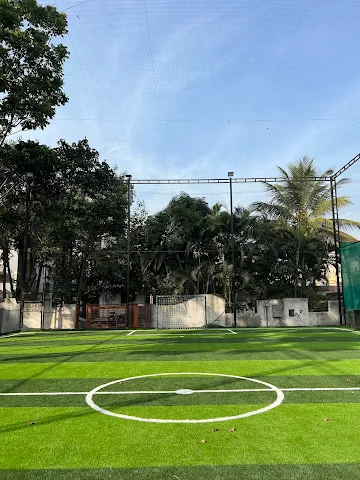 Turf photo 5