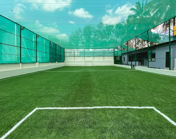 Turf main photo