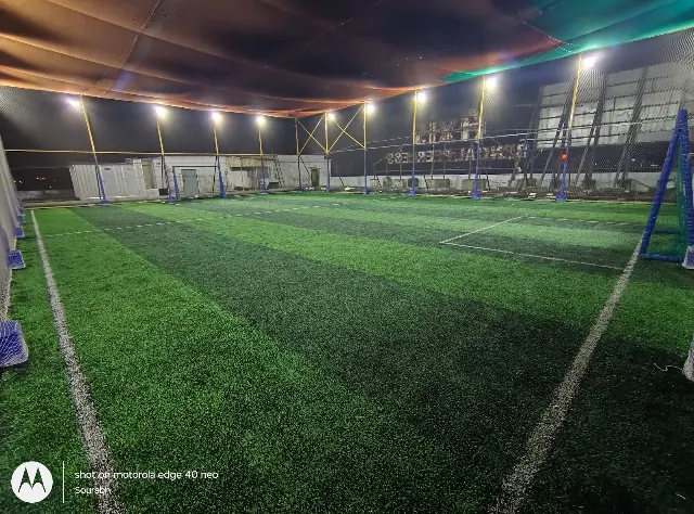 Turf photo 2