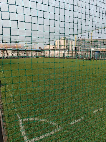 Turf photo 4