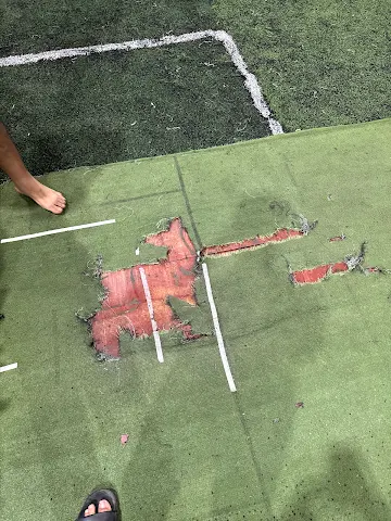 Turf photo 6