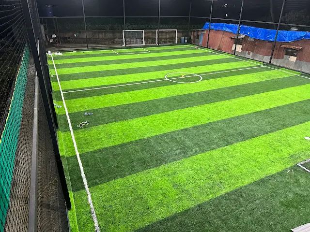 Turf photo 11