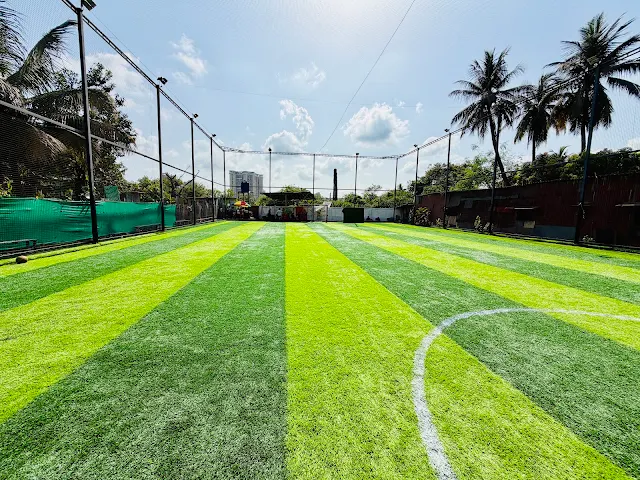 Turf photo 10