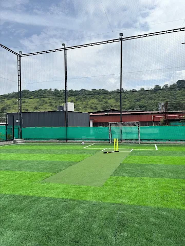 Turf photo 2