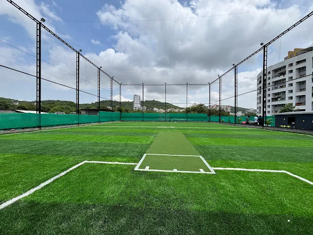 Turf photo 3