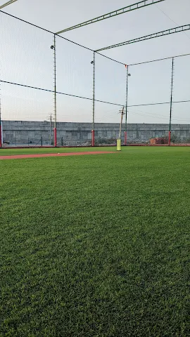 Turf photo 7