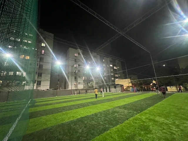 Turf photo 2