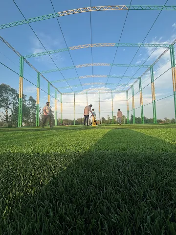 Turf photo 3
