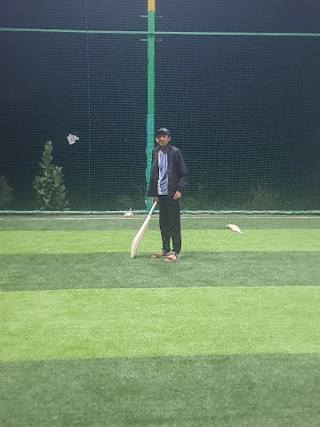 Turf photo 4
