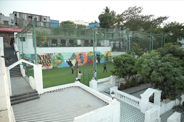 Turf photo 3