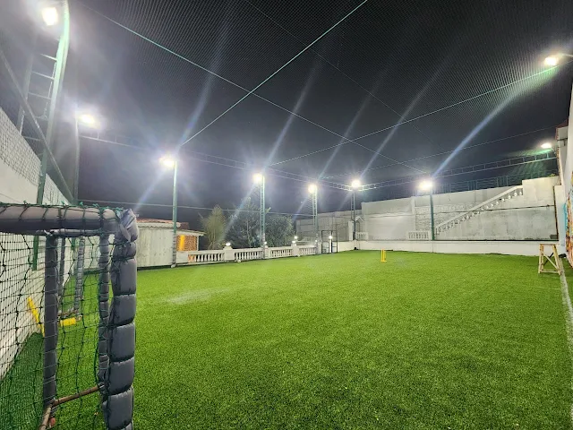 Turf photo 5