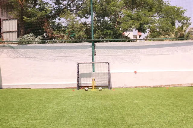 Turf main photo