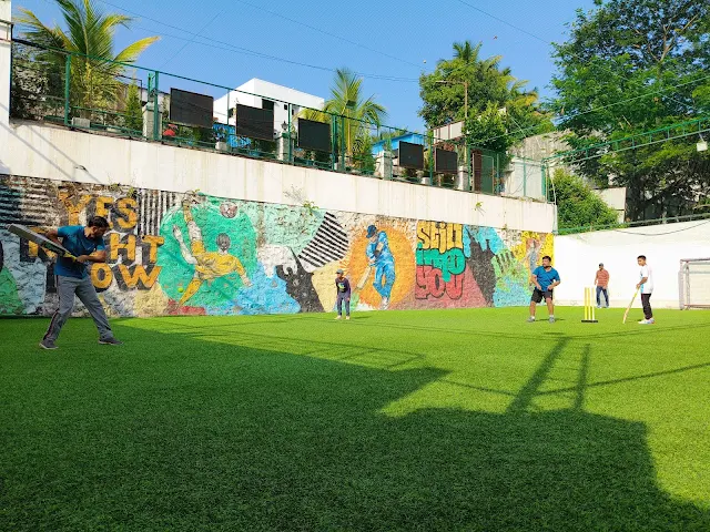 Turf photo 2