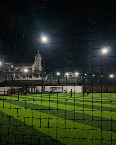 Turf photo 8