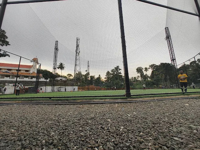 Turf photo 7
