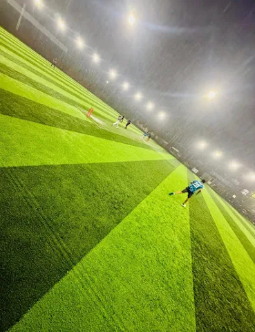 Turf photo 2