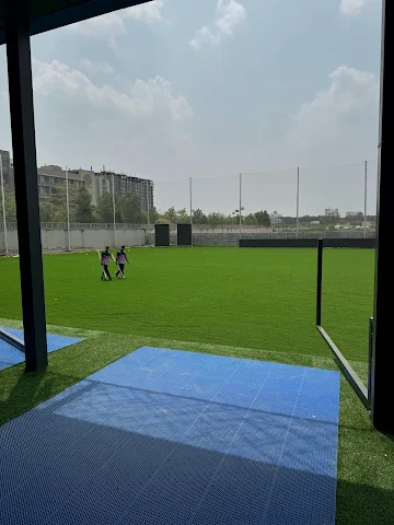 Turf photo 2