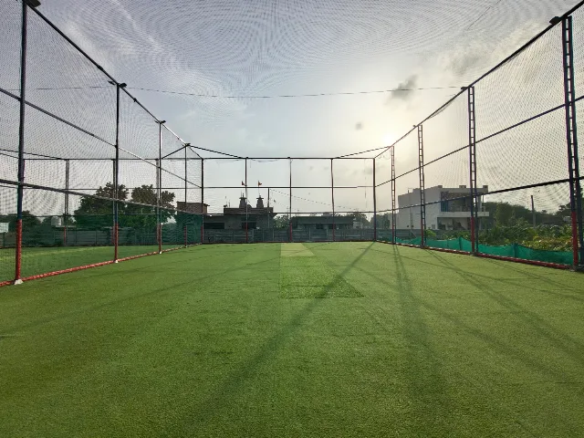 Free Hit Box Cricket and Pickleball