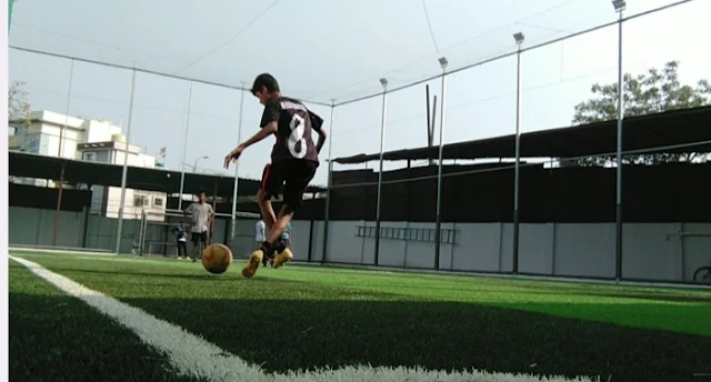 Turf photo 12