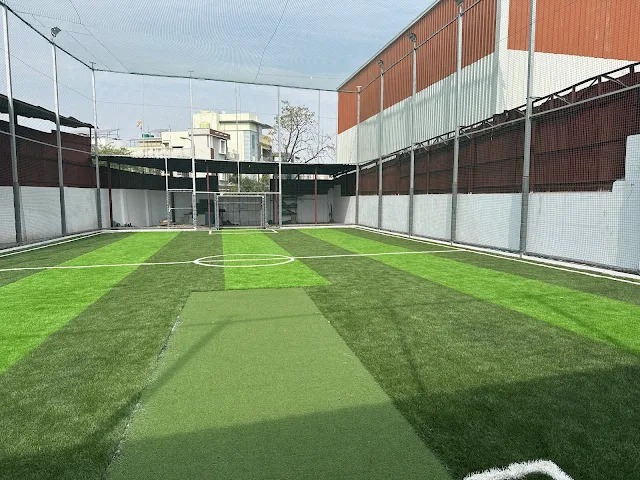 Turf photo 3