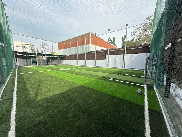 Turf photo 5