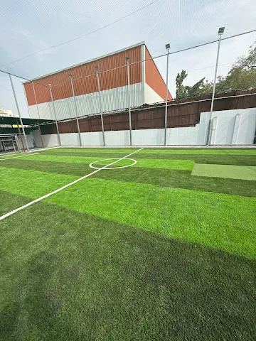 Turf photo 4