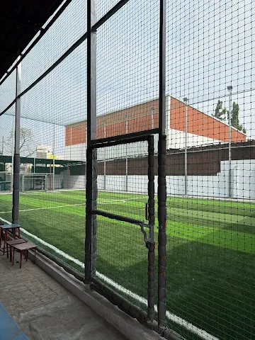 Turf photo 11