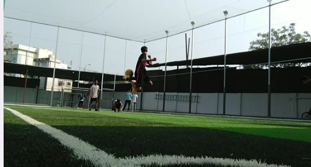 Turf photo 10