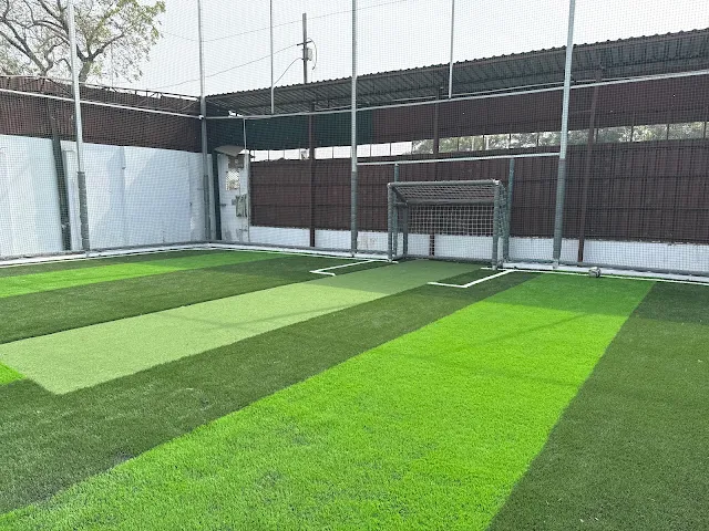 Turf photo 2
