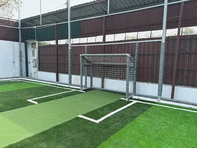 Turf photo 8